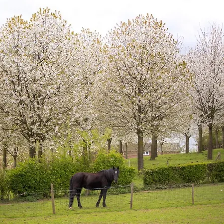 Sibbliem Luxury Dom wakacyjny Valkenburg aan de Geul