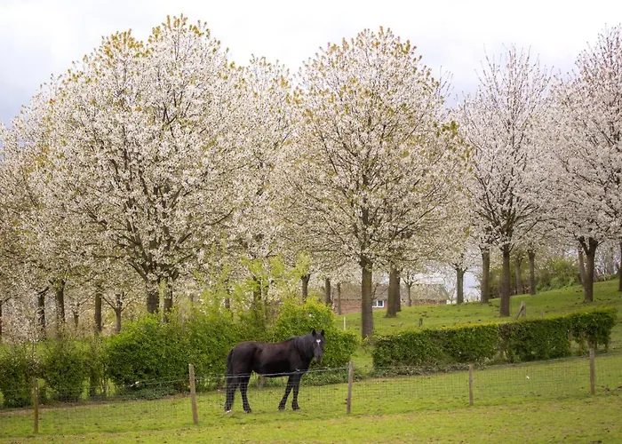 Sibbliem Luxury Tatil Evi Valkenburg aan de Geul